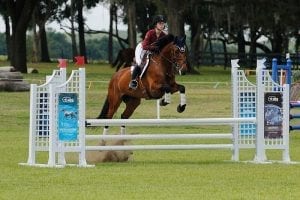 Majestic Oaks Ocala Schooling Show- Show Jumping