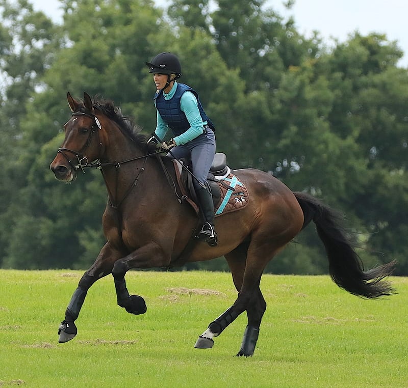 majestic oaks schooling show