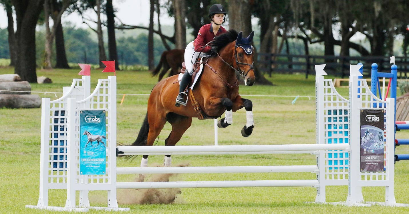 Majestic Oaks Ocala Show Jump Sponsor