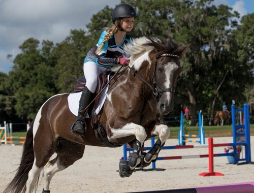 Majestic Oaks & Englert-Farren Sporthorses Schooling Jumper Show