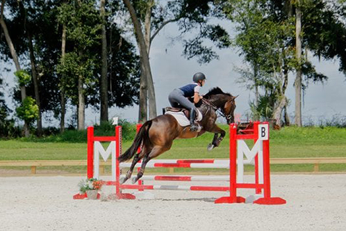 October Three Phase Schooling Show