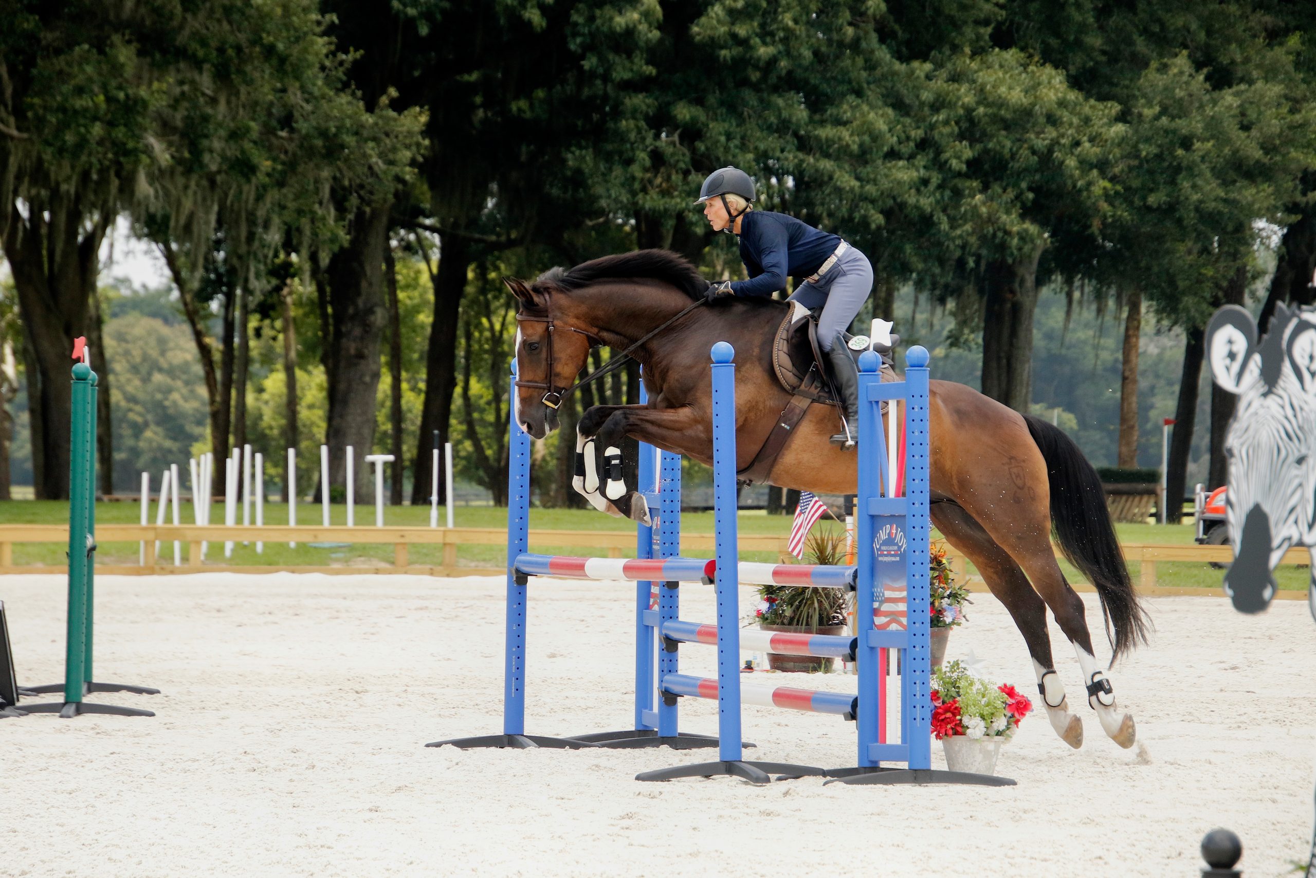 show jumping Majestic Oaks Ocala