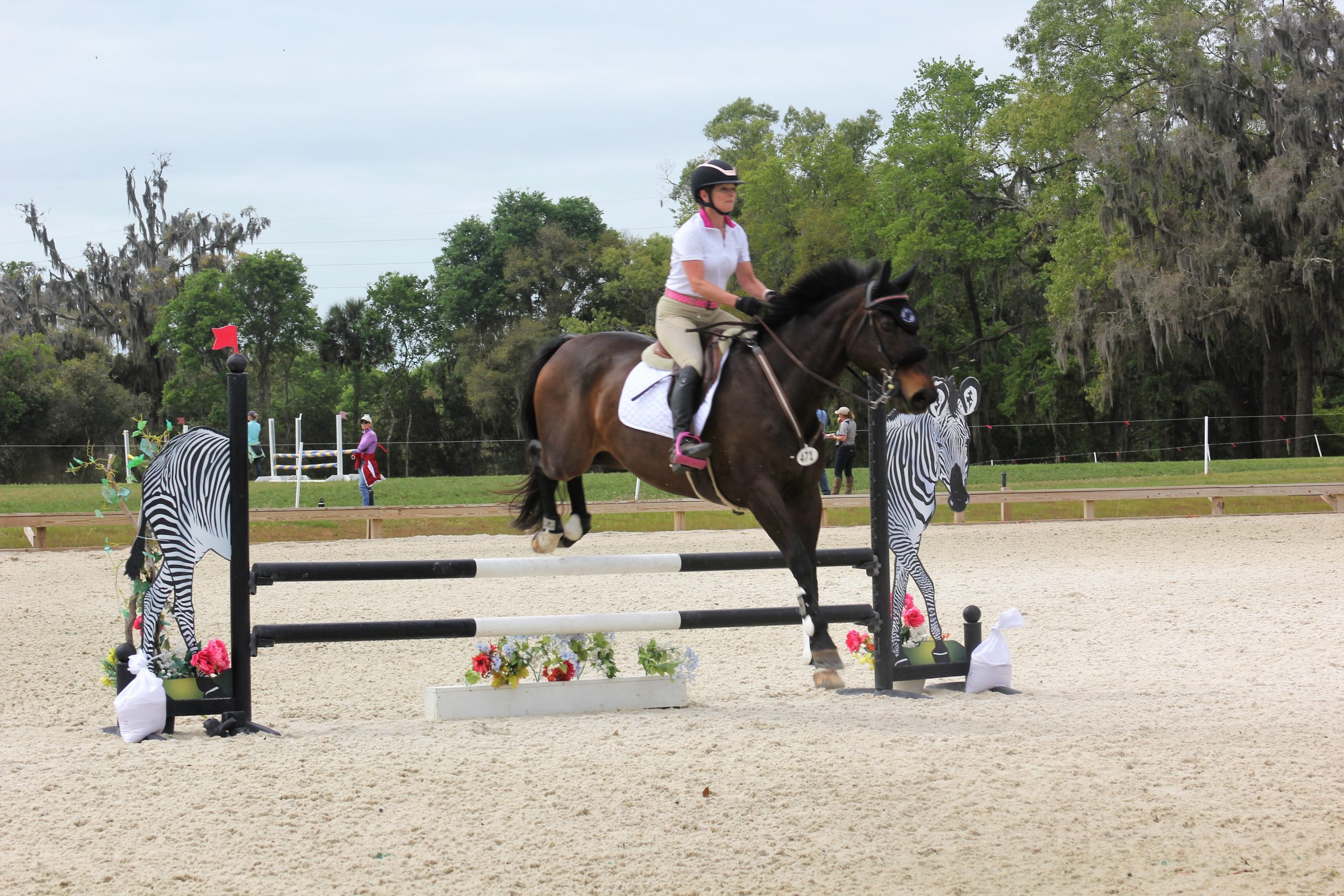 schooling show
