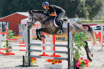 March 3-Phase Horse Trials