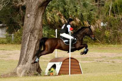 May 3-Phase Horse Trials