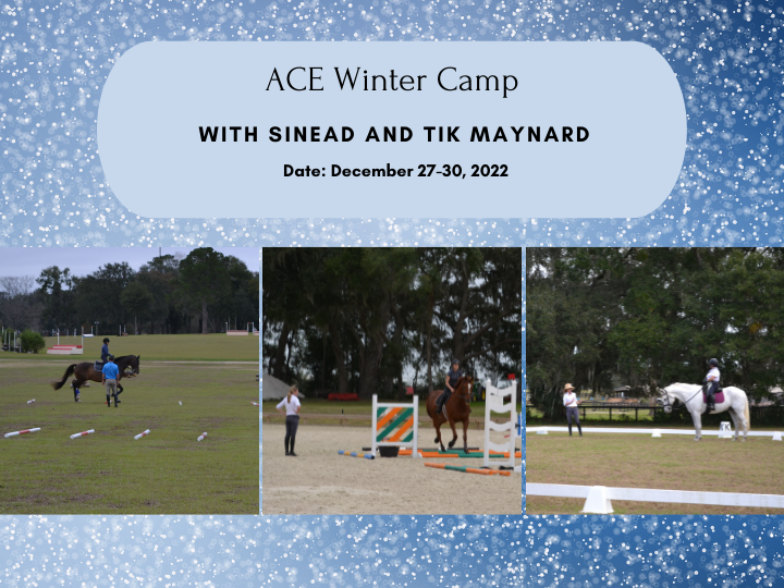 ACE Winter Camp