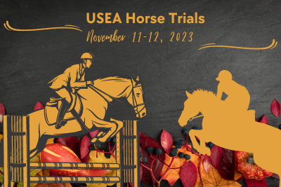 November horse trials