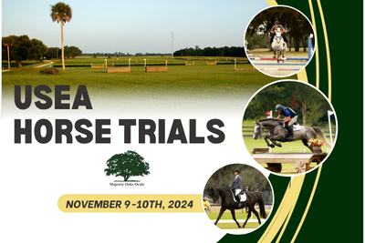 November Horse Trials