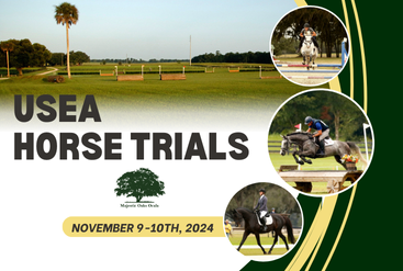 November 2024 Horse Trials